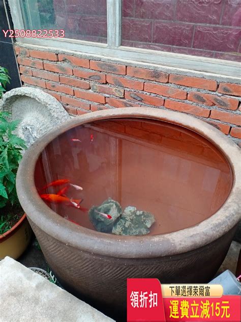 陶缸養魚